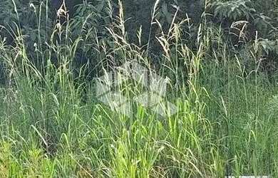 Imagem 5: Terreno com 517,04 m2 em área nobre na serra gaúcha por R$ 540.600,00