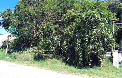 Imagem 2: CAXIAS DO SUL - Terreno Padrão - DIAMANTINO