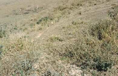 Imagem 10: Vende se um terreno no pouso alegre