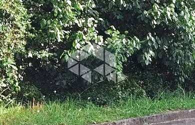 Imagem 9: Terreno com 517,04 m2 em área nobre na serra gaúcha por R$ 540.600,00