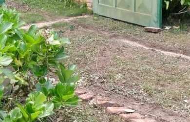 Imagem 10: Chacara paraiso apenas 147 mil reais