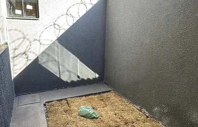 Imagem 10: Casa no Setor Buena Vista IV á Venda uma Casa Charmosa e Funcional