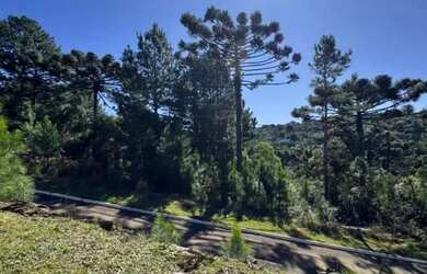 Imagem 9: Terreno - Bairro Dutra. Imóvel novoe450m² de Área