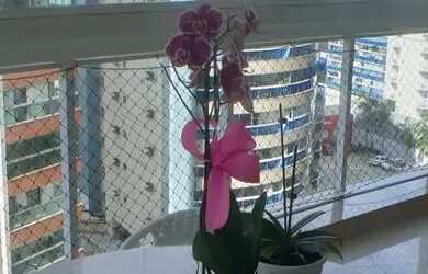 Imagem 11: Imóvel para venda com 195 metros quadrados com 4 quartos em Olaria -...