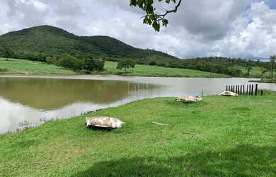 Imagem: O terreno possui 2496000m² de Área e está localizado em Uruaçu