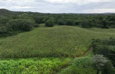 Imagem 2: Sítio 24,7 ha em Unaí/MG - Água Permanente, Casa, Pastos - Aceita Financiamento