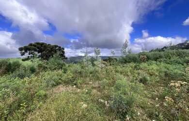 Imagem 9: Terreno de 32.142,60m², localizado na linha Tapera em Gramado