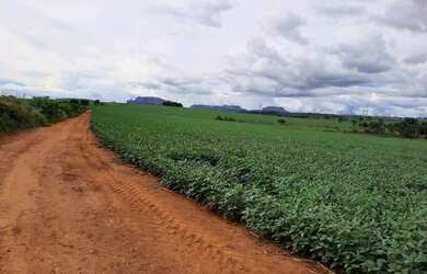 Imagem: A fazenda está localizado em Doverlândia, GO à venda por