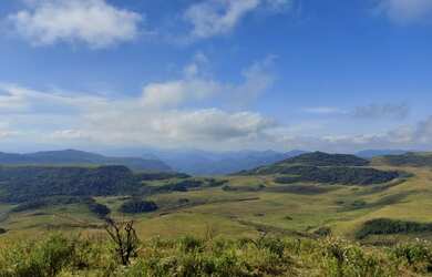 Imagem 2: Fazenda/Sítio/Chácara para venda tem 20000 metros quadrados em Esquina...