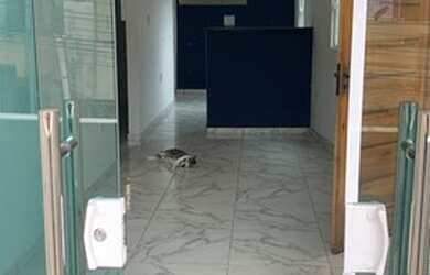 Imagem: A casa possui 2 Dormitórios, 2 Banheiros, 65m² de Área e