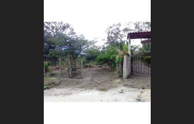 Imagem 9: Terreno 2125 metros. 2.125m² de Área