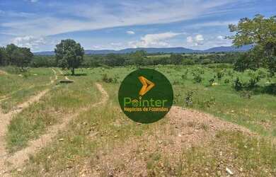 Imagem 11: Fazenda com 1 dormitório à venda, 7937600 m² por R$ 16.000.000,00 -...