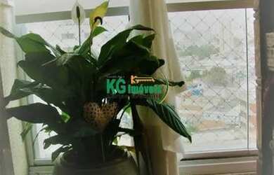 Imagem 9: LINDO APARTAMENTO 3 EXCLUSIVAS SUÍTES PLANEJADAS | AR CONDICIONADO