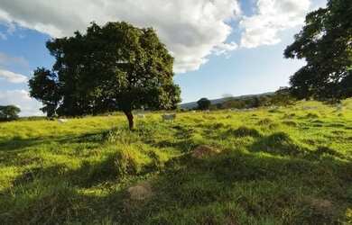 Imagem 8: Fazenda 180 hectares. 180m² de Área
