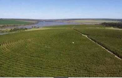 Imagem 13: Fazenda à venda, 10 quartos, 1 suíte, Área Rural de Unaí - Unaí/MG