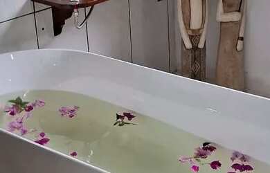 Imagem 12: Chácara Refúgio 2 casas