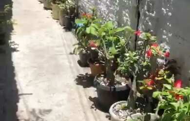 Imagem: O quarto possui Imóvel mobiliado e está localizado em Ponta