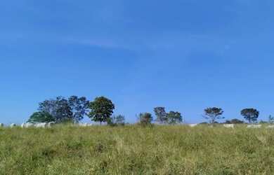 Imagem 6: Fazenda 180 hectares. 180m² de Área