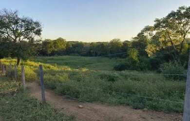 Imagem 7: Fazenda em Paracatu MG de 213 hectares com 70 hectares de área plana...
