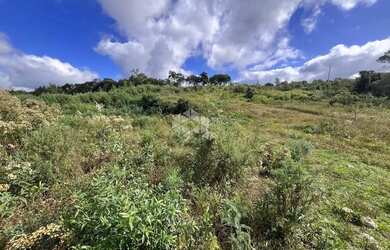 Imagem 10: Terreno de 32.142,60m², localizado na linha Tapera em Gramado