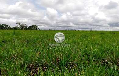 Imagem: Venda - Fazenda - Machadinho D x27 Oeste - 140 Alqueires
