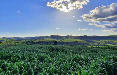 Imagem: A chácara possui 96.610m² de Área e está localizado em