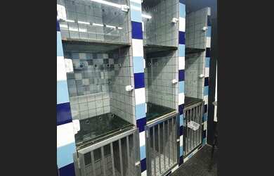 Imagem: O depósito possui 38m² de Área e está localizado em Recreio