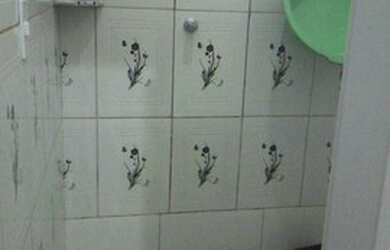 Imagem 4: Aluguel de casa novo aleixo