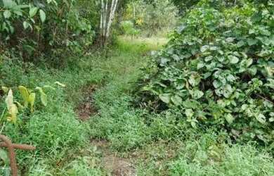 Imagem 6: Vende-se terreno. 500.000m² de Área