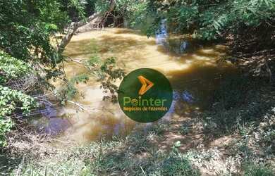 Imagem 16: Fazenda com 1 dormitório à venda, 7937600 m² por R$ 16.000.000,00 -...