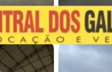 Imagem: O depósito possui 2000m² de Área e está localizado em Pirajá