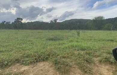 Imagem 14: Fazenda em Paracatu MG de 213 hectares com 70 hectares de área plana...