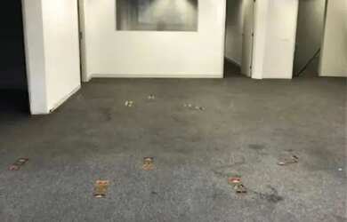 Imagem 6: PRÉDIO - VILA FORMOSA - SP