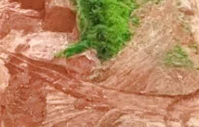 Imagem 2: AREA - ITAPETINGA - SP. 95.000m² de Área