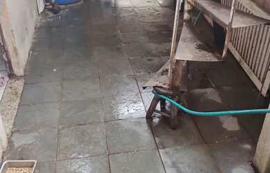 Imagem 11: Vendo barracão. 1 Banheiroe2 Dormitórios