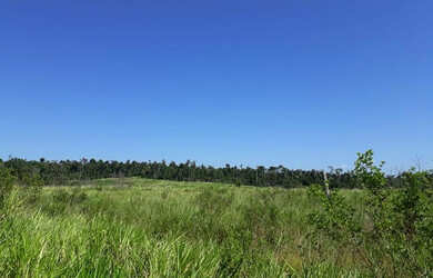 Imagem: A fazenda possui 500.000m² de Área e está localizado em