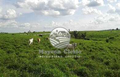 Imagem: A fazenda possui 9268000m² de Área e está localizado em Machadinho