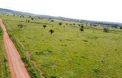Imagem: A fazenda está localizado em Plano Diretor Sul, Palmas à venda