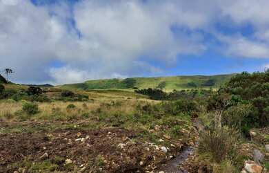 Imagem 13: Fazenda/Sítio/Chácara para venda tem 20000 metros quadrados em Esquina...