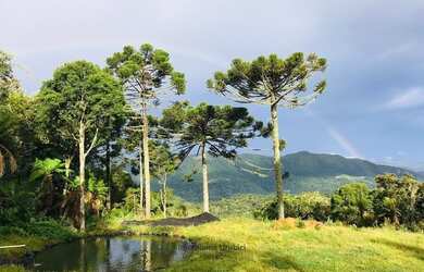 Imagem 11: Fazenda/Sítio/Chácara ÁREA RURAL COM CABANA À VENDA em Urubici