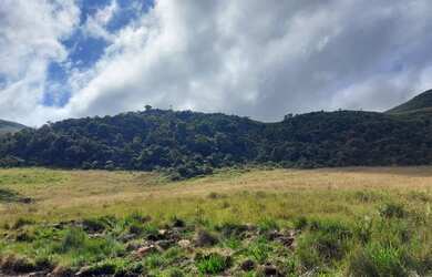 Imagem 11: Fazenda/Sítio/Chácara para venda tem 20000 metros quadrados em Esquina...