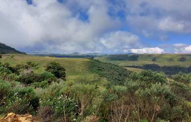 Imagem 14: Fazenda/Sítio/Chácara para venda tem 20000 metros quadrados em Esquina...