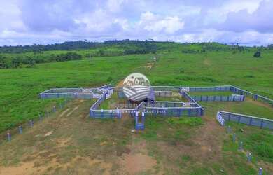 Imagem: Venda - Fazenda - Machadinho D x27 Oeste - 214 Alqueires top