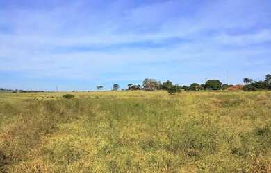 Imagem: A fazenda possui 135.800m² de Área e está localizado em