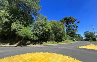 Imagem 4: Área com potencial construtivo a venda