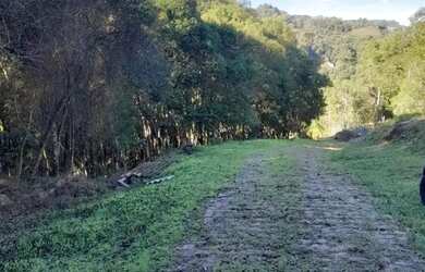 Imagem 5: CAXIAS DO SUL - Terreno Padrão - MONTE BÉRICO
