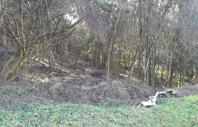 Imagem 4: CAXIAS DO SUL - Terreno Padrão - MONTE BÉRICO