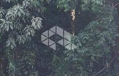 Imagem 7: Terreno com 517,04 m2 em área nobre na serra gaúcha por R$ 540.600,00