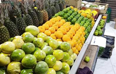 Imagem 7: Passo ponto com sacolão todo montado