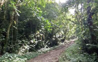 Imagem 2: 20 mil MTS rico em agua 79 mil reais 14 km da rodovia Regis Bittencourt